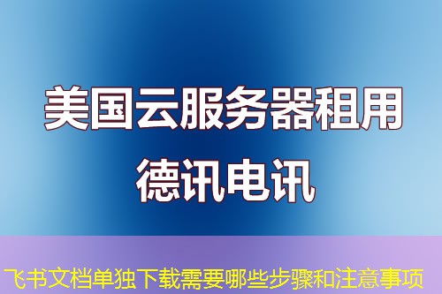飞书文档单独下载需要哪些步骤和注意事项