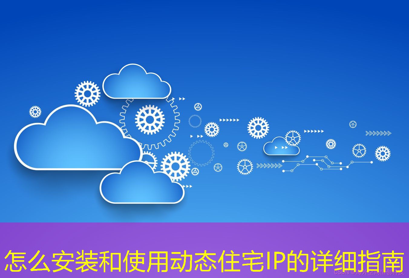 怎么安装和使用动态住宅IP的详细指南