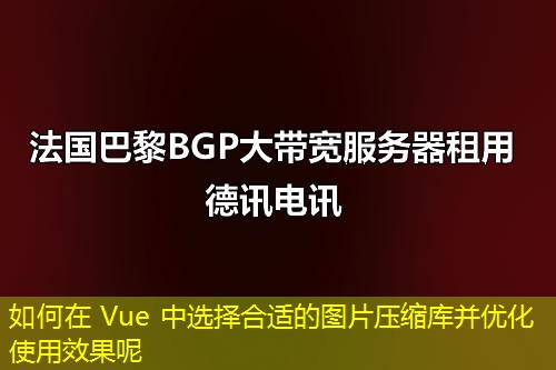 如何在 Vue 中选择合适的图片压缩库并优化使用效果呢