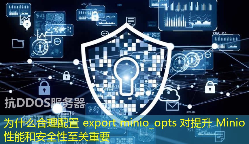 为什么合理配置 export minio_opts 对提升 Minio 性能和安全性至关重要