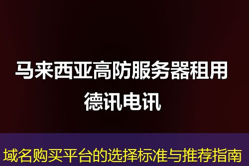 域名购买平台的选择标准与推荐指南