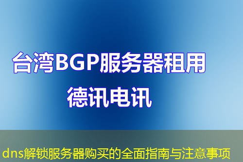 dns解锁服务器购买的全面指南与注意事项