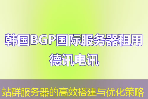站群服务器的高效搭建与优化策略