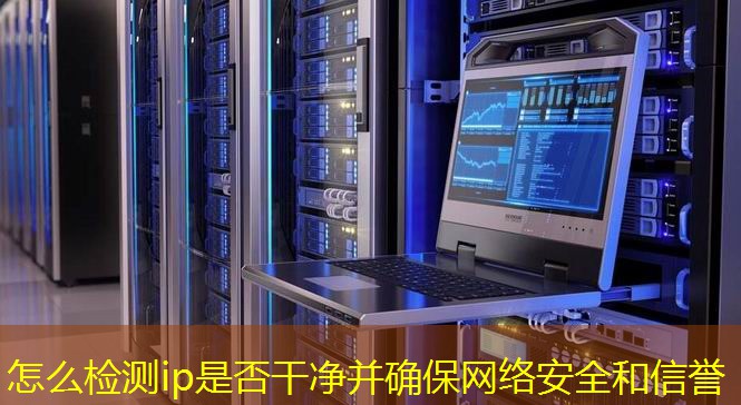 怎么检测ip是否干净并确保网络安全和信誉