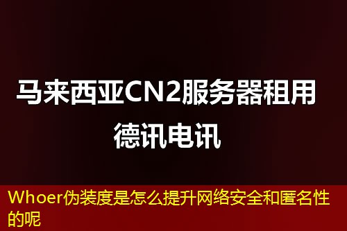 Whoer伪装度是怎么提升网络安全和匿名性的呢
