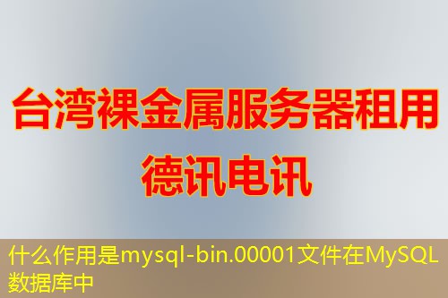 Lbzmtfud