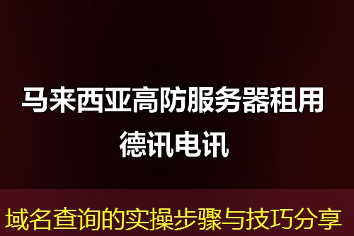 域名查询的实操步骤与技巧分享