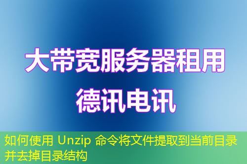 如何使用 Unzip 命令将文件提取到当前目录并去掉目录结构