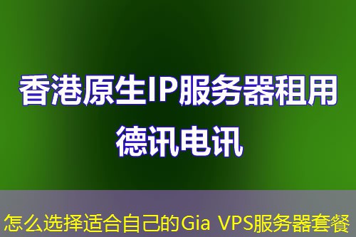 怎么选择适合自己的Gia VPS服务器套餐