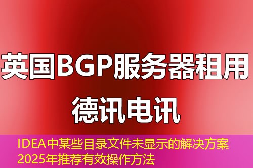 IDEA中某些目录文件未显示的解决方案 2025年推荐有效操作方法 IDEA中某些目录文件未显示的解决方案 2025年推荐有效操作方法