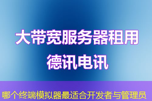 哪个终端模拟器最适合开发者与管理员