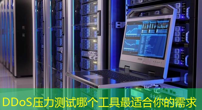 DDoS压力测试哪个工具最适合你的需求 DDoS压力测试哪个工具最适合你的需求