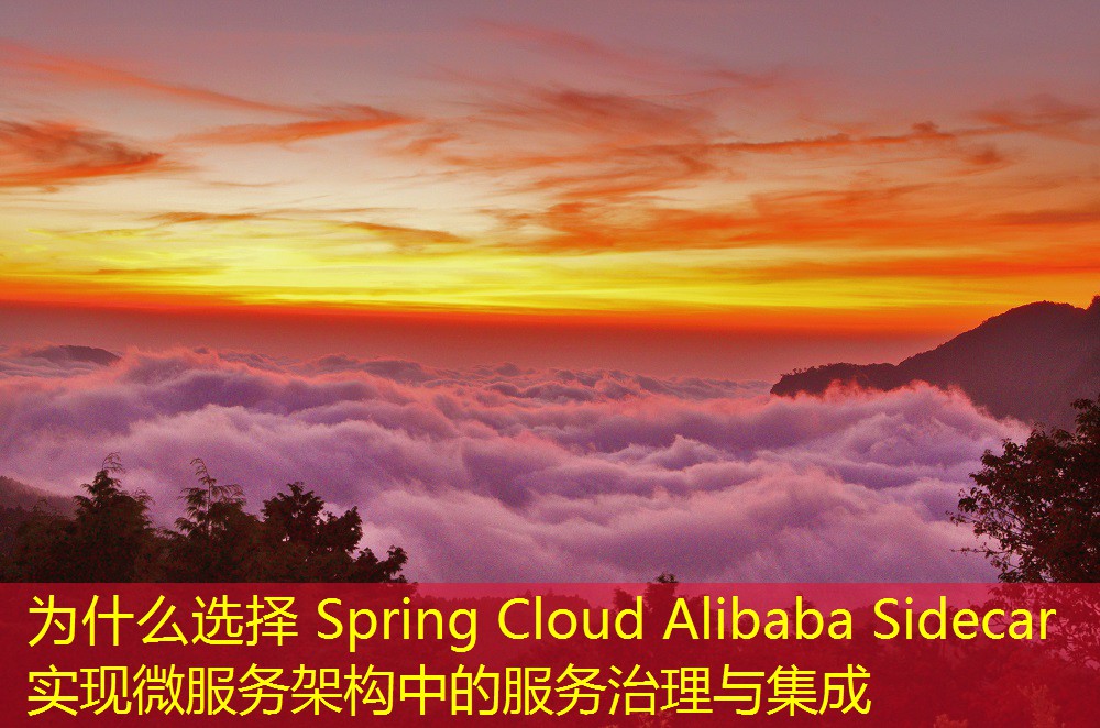 为什么选择 Spring Cloud Alibaba Sidecar 实现微服务架构中的服务治理与集成