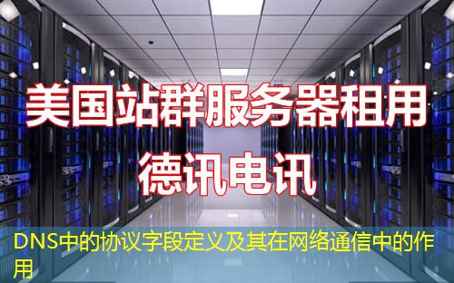 DNS中的协议字段定义及其在网络通信中的作用