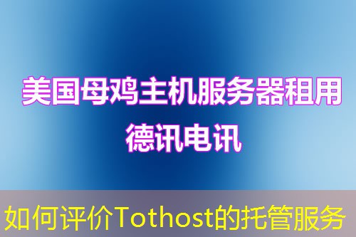 如何评价Tothost的托管服务