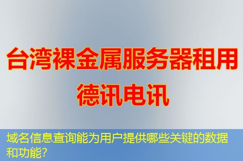 域名信息查询能为用户提供哪些关键的数据和功能？