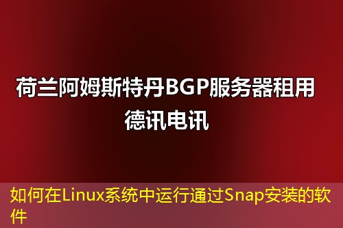 如何在Linux系统中运行通过Snap安装的软件 如何在Linux系统中运行通过Snap安装的软件