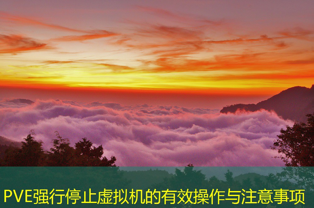 PVE强行停止虚拟机的有效操作与注意事项 PVE强行停止虚拟机的有效操作与注意事项