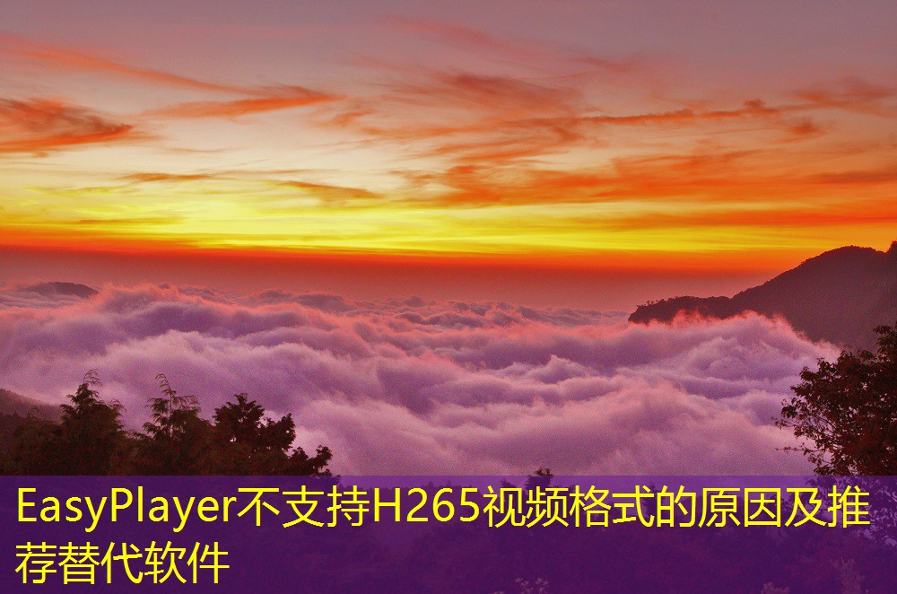 EasyPlayer不支持H265视频格式的原因及推荐替代软件