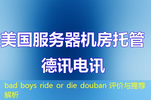 bad boys ride or die douban 评价与推荐解析