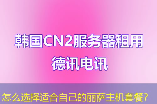 怎么选择适合自己的丽萨主机套餐？